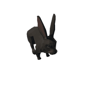 Rabbit PA Black